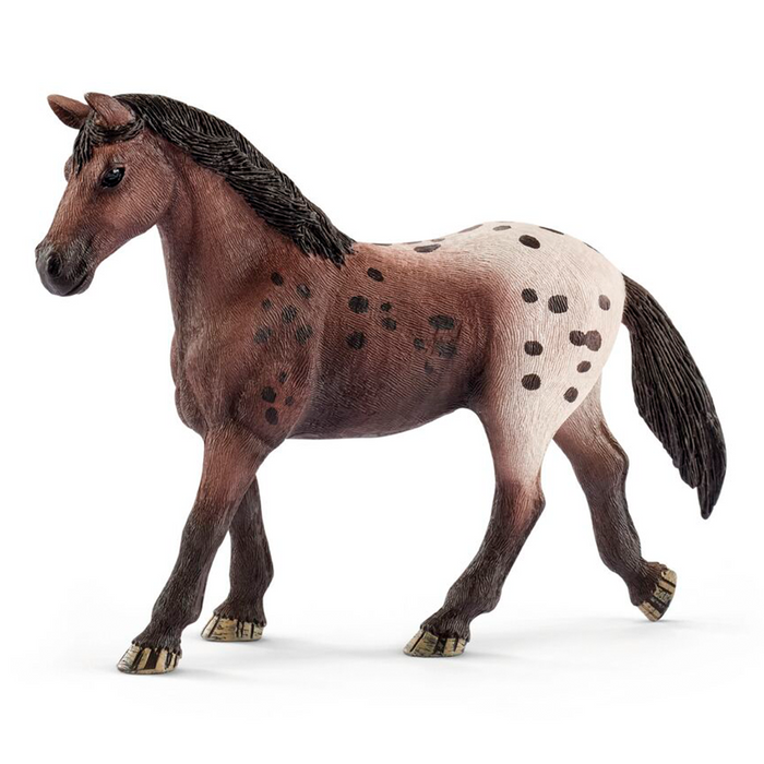 Jument Appaloosa