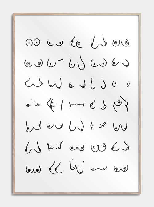 Boobies Affiche, no. 3 S (30x42, A3)