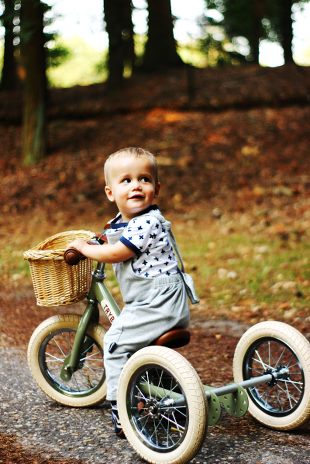 Panier de vélos