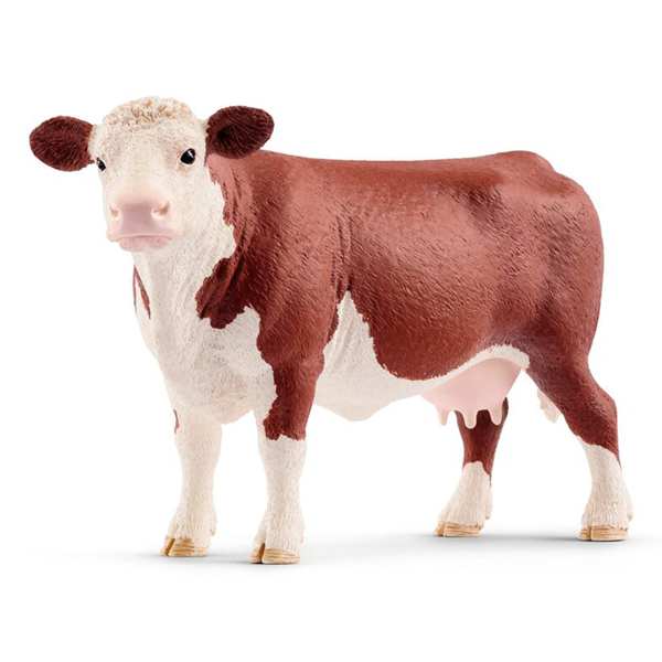 Vache de Hereford