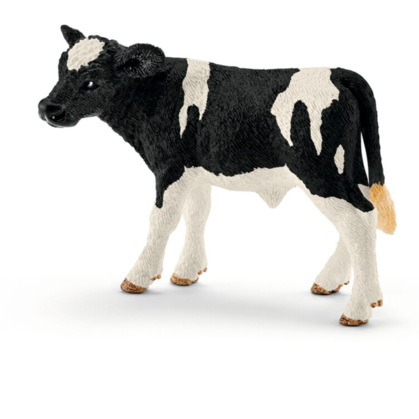 Veau Holstein