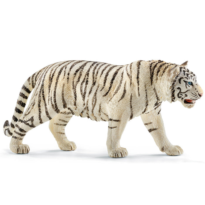 tigre blanc