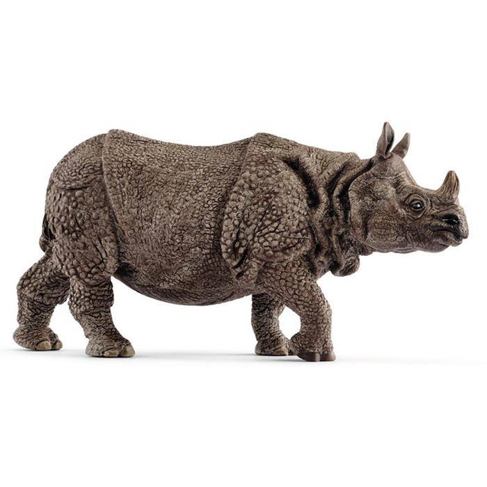 Rhino indien