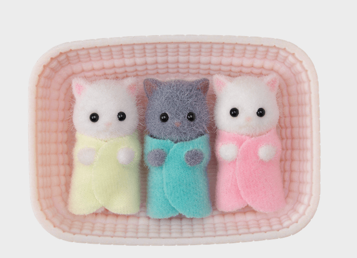 Triplets de chat persan