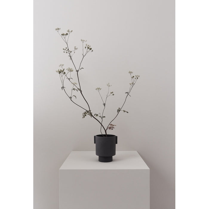 Plante en pot, inca kana - anthracite (moyen)