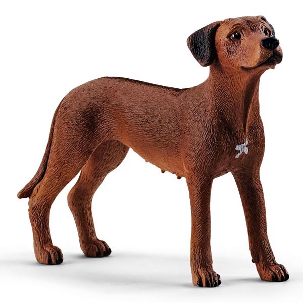 Rhodesien Ridgeback