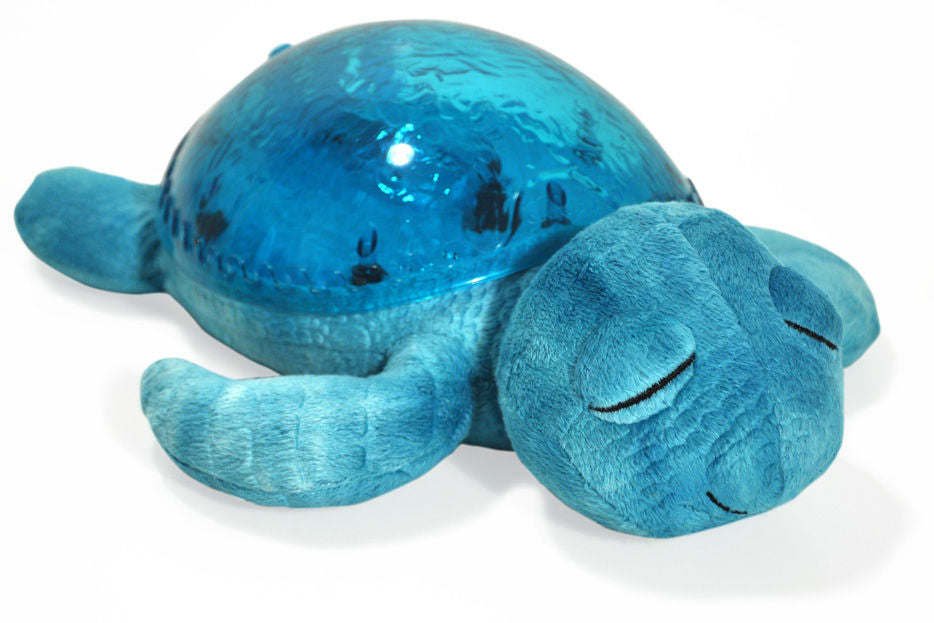 Tortue tranquille, aqua