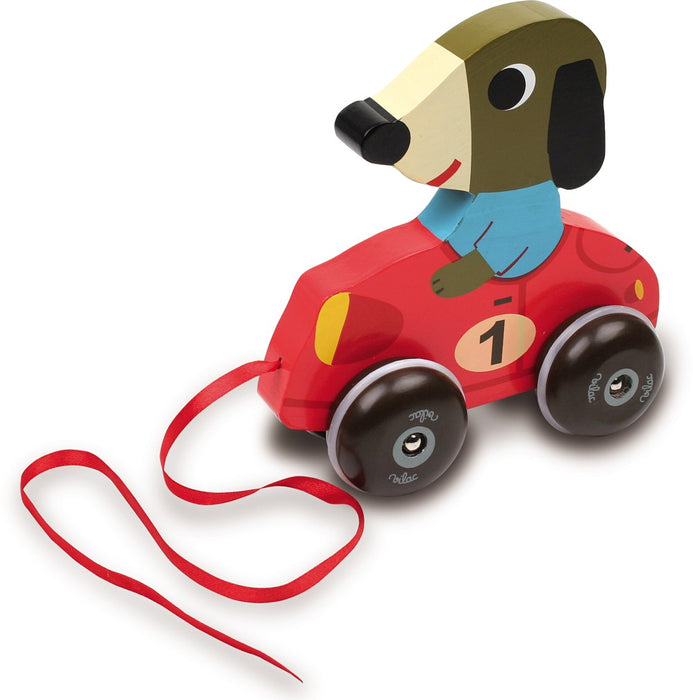 Voiture de course, chien